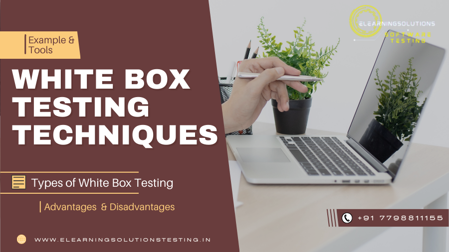 White Box Testing Techniques