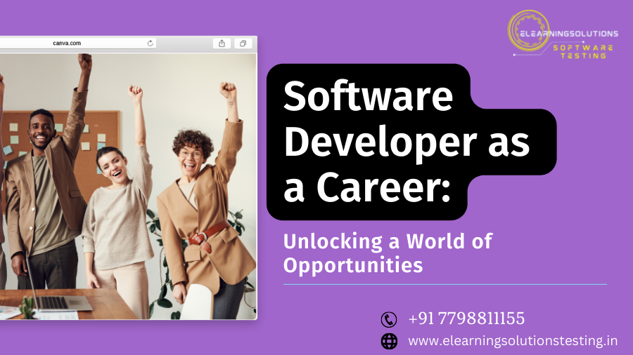 Software Developer