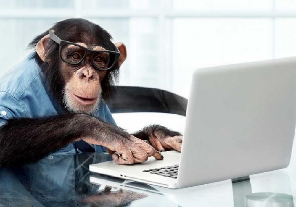 Monkey Testing in Software Testing