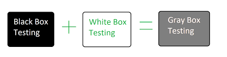 Gray box testing