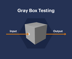 Understanding Gray Box Testing 