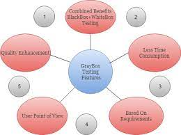 Importance of Gray Box Testing