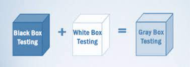 Planning and Execution of Gray Box Testing