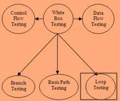 Loop Testing Techniques