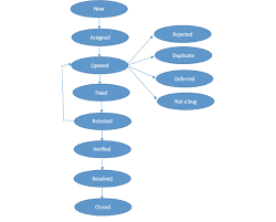 Defect Tracking Process