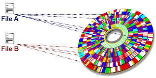 Impact of Fragmentation on Disk Performance