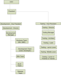 Career Paths in Software Testing